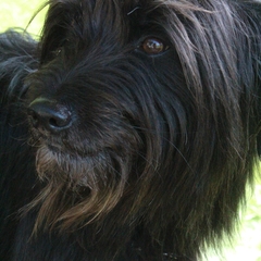 Ausflug im Juli 2016 (19)